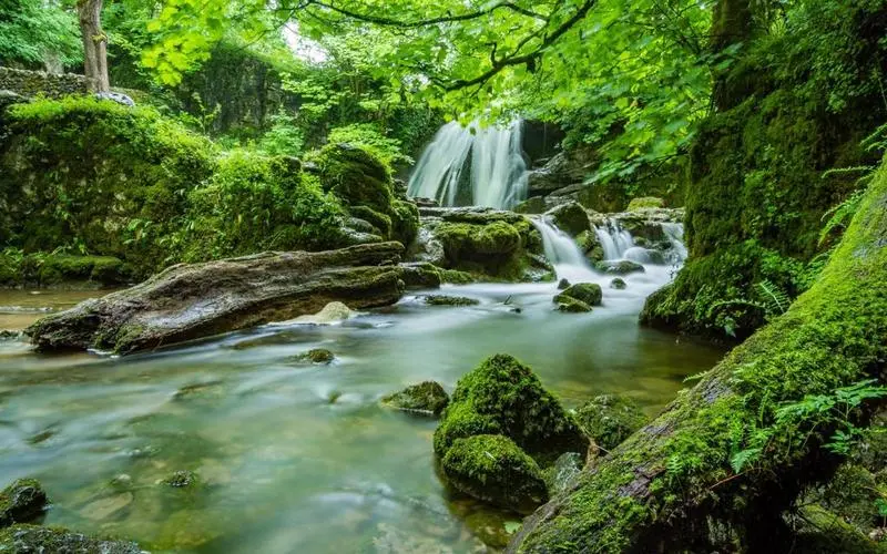 智能化高端
